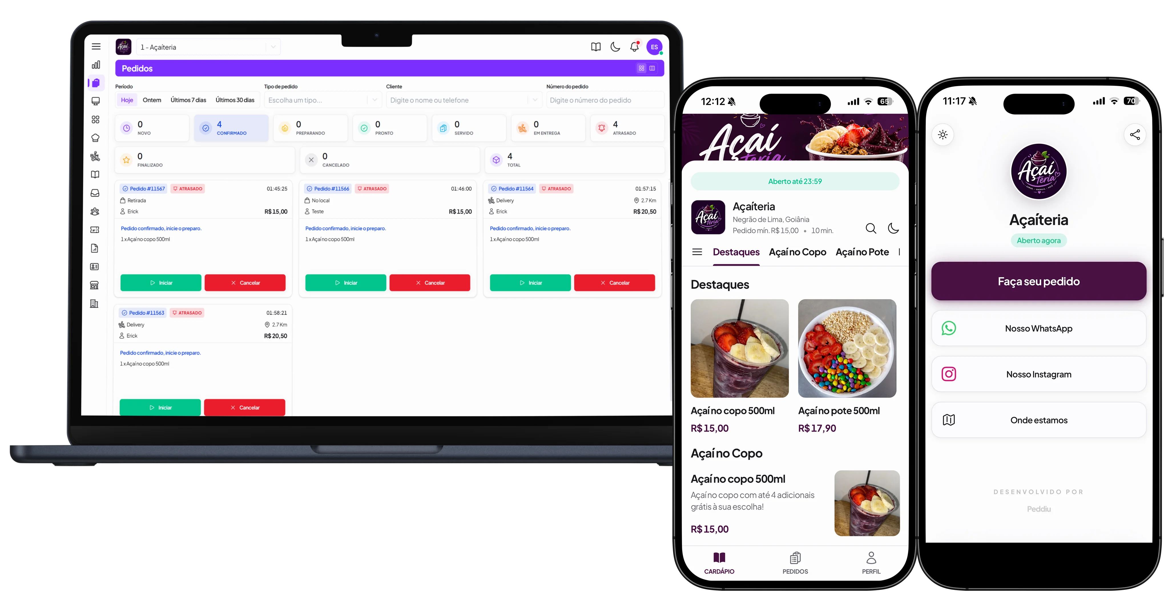 Visão geral dos produtos Peddiu: cardápio, portal e links